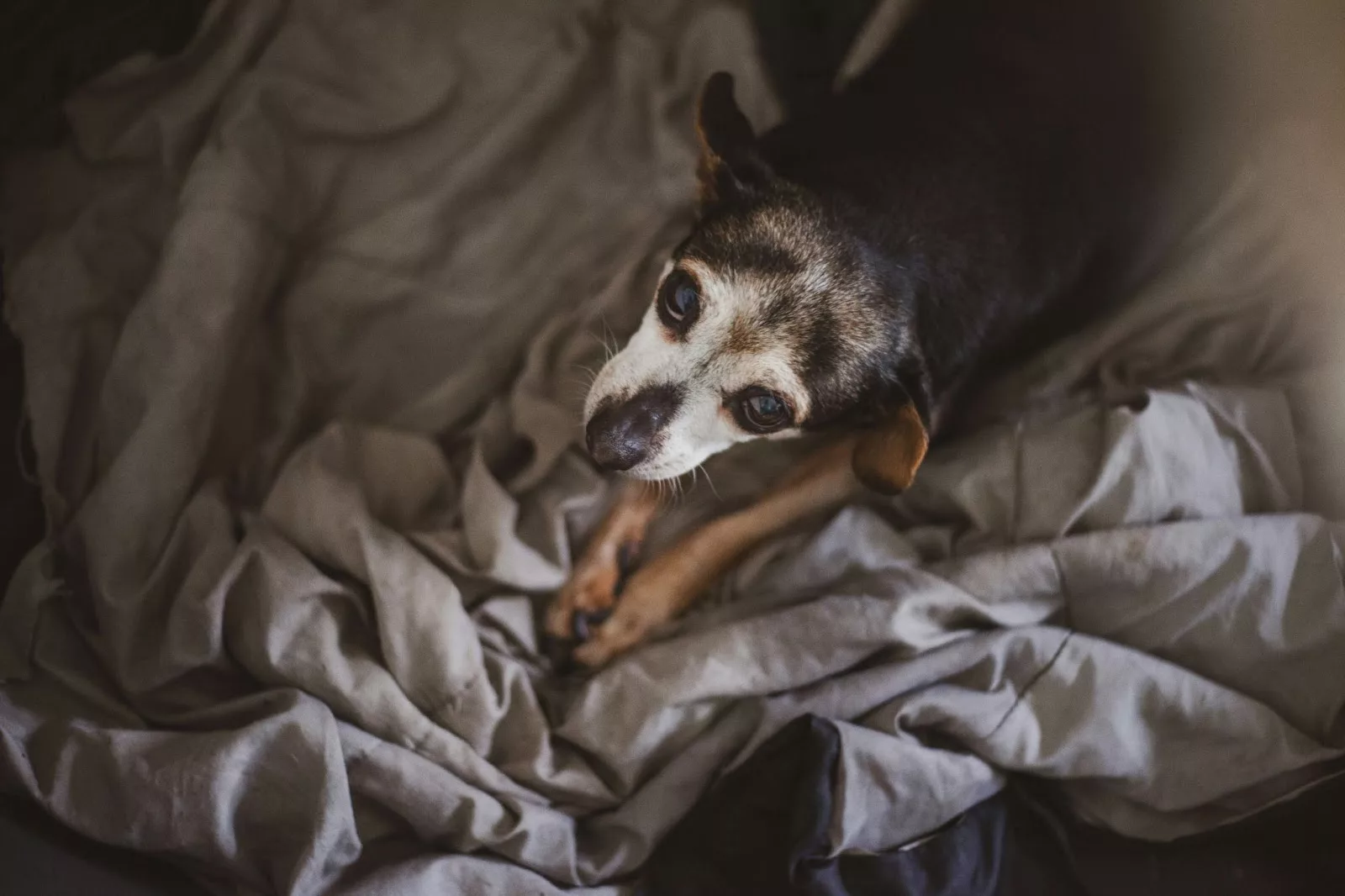 Fonte: Unsplash