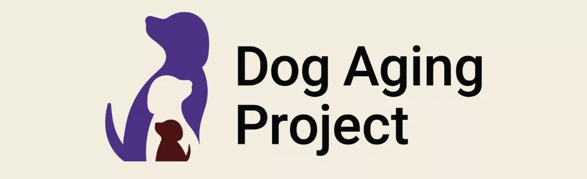 Longevidade Canina: Aprendizados do Dog Aging Project