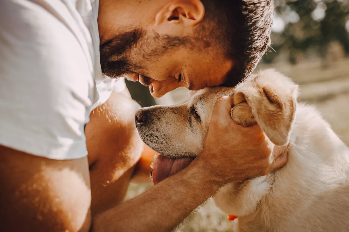 Tabela de Idade de Cachorro: Como calcular a idade de um cachorro?