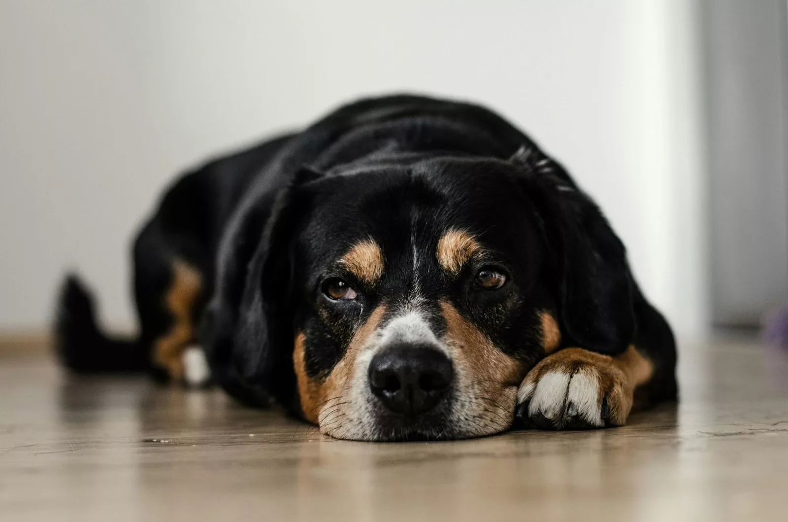 Fonte? Unsplash