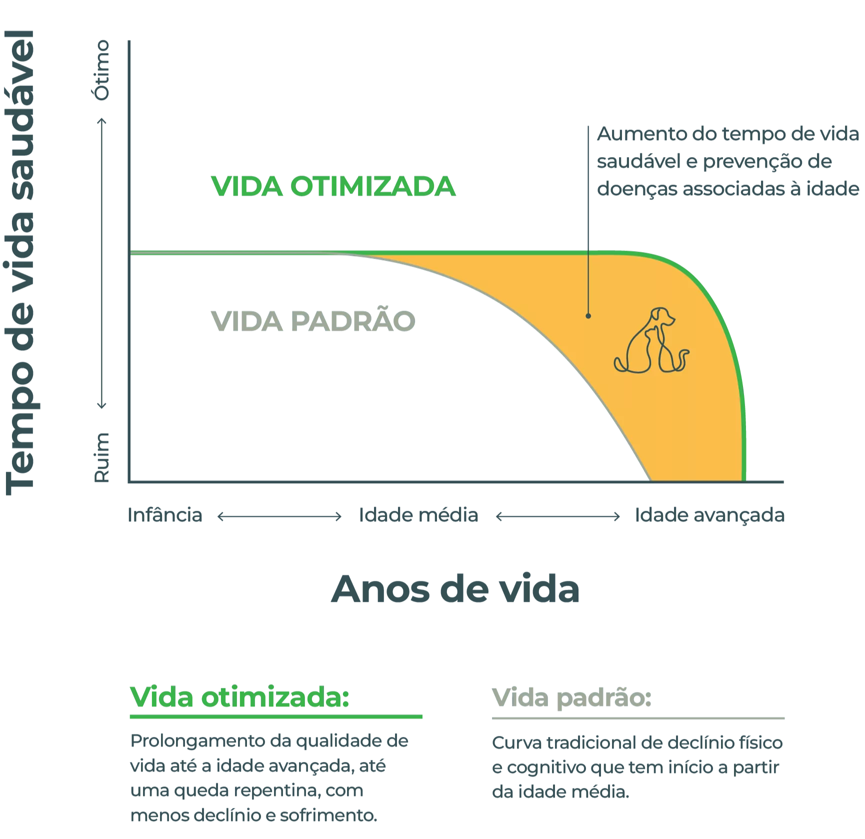 tempo de vida saudável gráfico