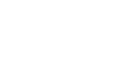 Logo Petmoretime