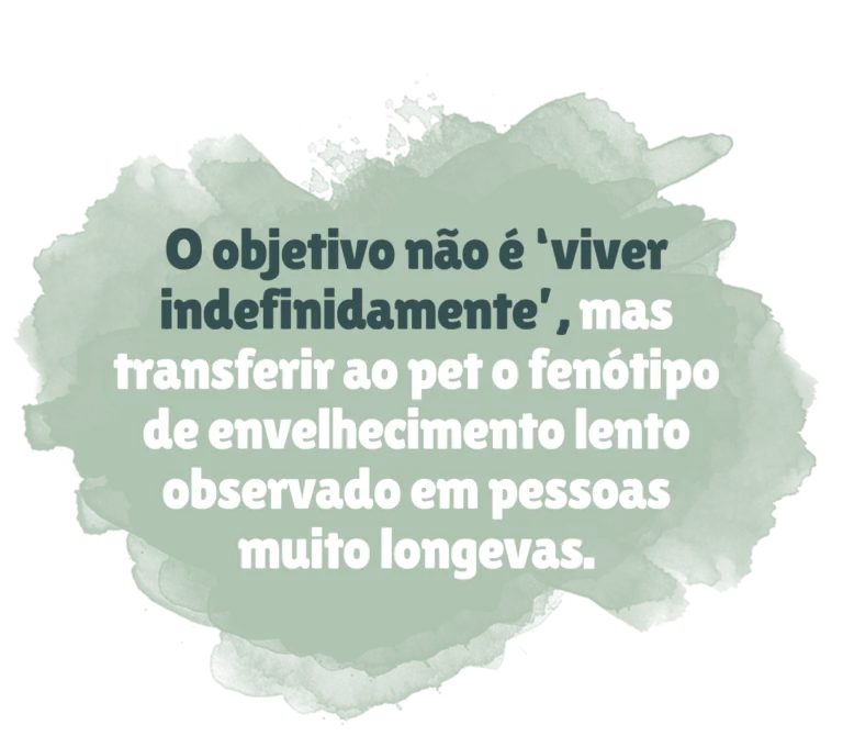 frase